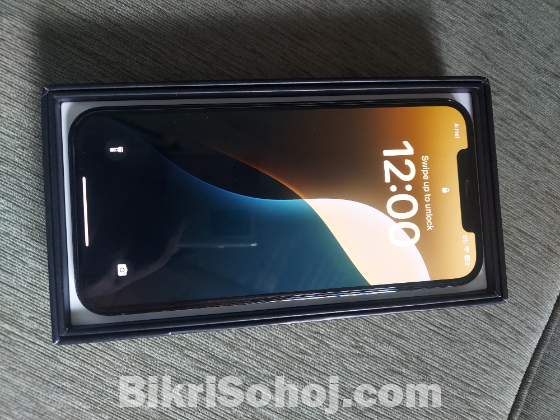 apple 12 pro max